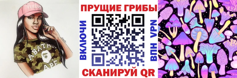 Псилоцибиновые грибы Psilocybe  ссылка на мегу сайт  Стародуб 